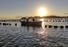 Penha é a terceira maior produtora de mariscos do Brasil e Santa Catarina