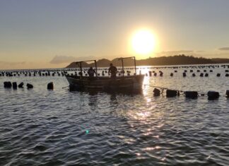 Penha é a terceira maior produtora de mariscos do Brasil e Santa Catarina