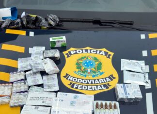 PRF apreende anabolizantes e emagrecedores na BR-101, em Araquari