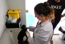 Casa Pet terá vacinas disponíveis a partir de terça-feira (21) em Balneário Piçarras