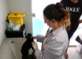 Casa Pet terá vacinas disponíveis a partir de terça-feira (21) em Balneário Piçarras