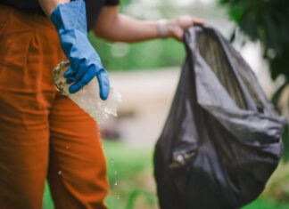 Santa Catarina se mobiliza com ações de enfrentamento ao Aedes aegypti
