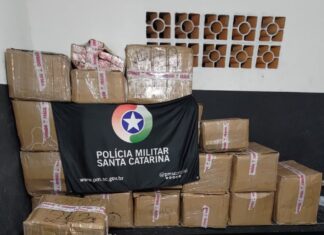 Mais de 700 kg de maconha são apreendidos durante operação na BR-101 entre Penha e Balneário Piçarras