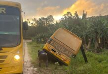 Ônibus escolar que transportava crianças se envolve em acidente em Barra Velha