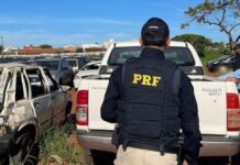 PRF promove leilão de 651 veículos apreendidos ou abandonados em rodovias federais de SC