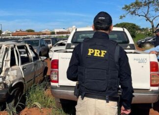 PRF promove leilão de 651 veículos apreendidos ou abandonados em rodovias federais de SC