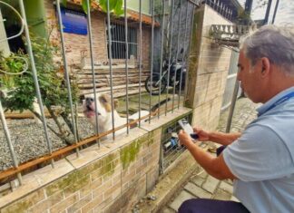 Proteção Animal conclui levantamento e identifica residências com cães de raças protetivas em Navegantes