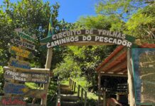 Turismo de Penha abre inscrições para visita educativa ambiental à Trilha da Praia Vermelha