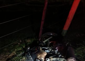Jovens morrem em grave acidente na SC-414 em Navegantes