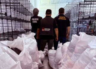 Polícia Civil apreende R$1,5 milhão em roupas falsificadas durante Operação “Dupla Face”