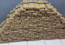 Força Integrada apreende cerca de 252kg de maconha em Santa Catarina