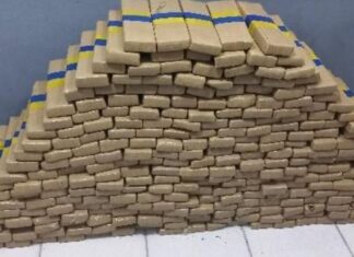 Força Integrada apreende cerca de 252kg de maconha em Santa Catarina