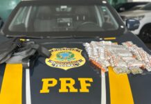 Remédios para emagrecimento e anabolizantes importados ilegalmente são aprendidos na BR-101 em Itajaí