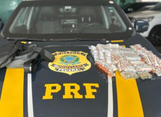Remédios para emagrecimento e anabolizantes importados ilegalmente são aprendidos na BR-101 em Itajaí
