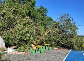 Defesa Civil de Araquari decreta situação de emergência por causa da chuva