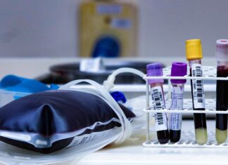 HEMOSC reforça pedido à população para iniciar 2026 com a doação de sangue