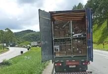 Carreta da Havan tem carga furtada na rodovia Régis Bittencourt