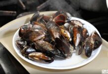 A mariscada voltou! Penha confirma a 26ª Festa Nacional do Marisco