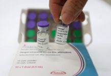 Saúde amplia vacinação contra a dengue para adolescentes em todos os municípios catarinenses