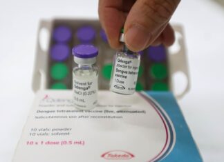 Saúde amplia vacinação contra a dengue para adolescentes em todos os municípios catarinenses