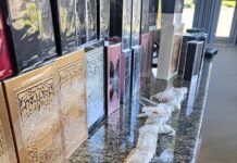 Homens são flagrados com carga de perfumes e remédios emagrecedores no Norte de SC