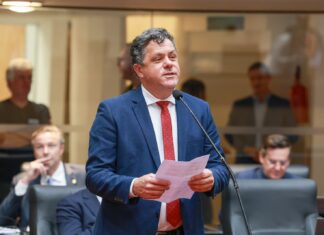 Apagões regionais da Celesc e alto custo cartorário no foco do deputado Naatz em 2026 na Alesc