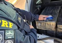 PRF flagra quase 300 quilos de maconha escondidos sob lona em Barra Velha