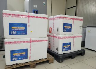 Secretaria da Saúde inicia distribuição do anticorpo que previne contra o VSR