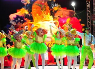 Carnaval em Navegantes terá três dias de desfiles, bailes e concurso de fantasia