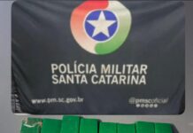 Polícia Militar apreende 36 kg de maconha e prende suspeito por tráfico em Barra Velha