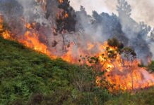 Incêndio florestal mobiliza Arcanjo-03 e bombeiros militares em Itajaí