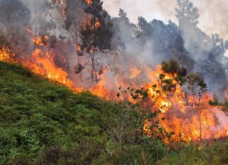 Incêndio florestal mobiliza Arcanjo-03 e bombeiros militares em Itajaí