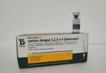 Santa Catarina inicia distribuição de vacinas contra a dengue a profissionais de saúde