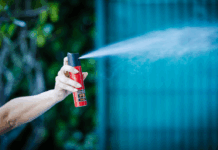 Alesc aprova fornecimento de spray de pimenta a mulheres sob medida protetiva