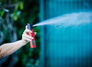 Alesc aprova fornecimento de spray de pimenta a mulheres sob medida protetiva
