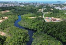 Câmara aprova requerimento que cobra informações sobre contaminação do Rio Piçarras
