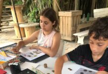 1º Encontro de Colecionismo reúne jovens e colecionadores em Balneário Piçarras