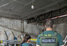 CyberGAECO investiga crimes de produção, armazenamento e compartilhamento de imagens de abuso sexual infantil