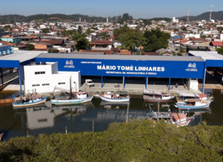 1º Festival do Peixe Frito com Pirão D’água acontece na Colônia de Pescadores de Balneário Piçarras neste domingo (03/05)