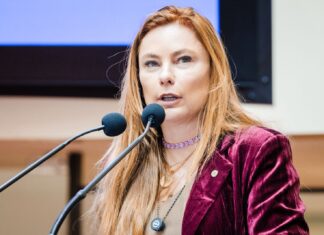 Deputada Paulinha propõe comissão mista na Alesc para analisar projetos de proteção à mulher e combater feminicídio