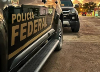 PF combate a importação ilegal de leite em pó em Santa Catarina