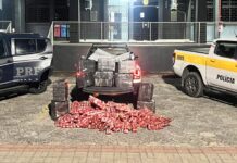 Ação conjunta apreende mais de 300 quilos de maconha em Santa Catarina