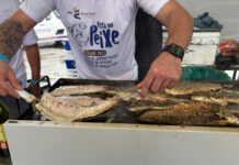 Inscrições abertas para credenciamento da Festa do Peixe 2026