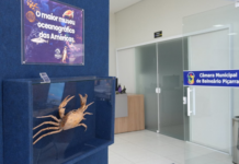 Câmara recebe exposição “Oceano e Memória” do Museu Oceanográfico Univali