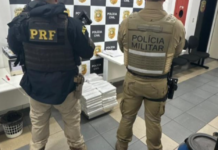 Ações integradas resultam na apreensão de quase 430 quilos de maconha no oeste de SC
