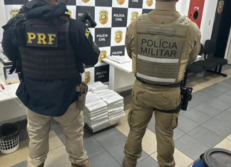 Ações integradas resultam na apreensão de quase 430 quilos de maconha no oeste de SC
