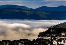 Massa de ar polar derruba temperaturas e traz risco de geada em Santa Catarina