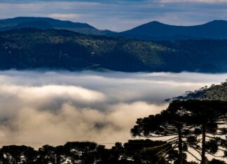 Massa de ar polar derruba temperaturas e traz risco de geada em Santa Catarina
