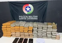 PM apreende cerca de 74 quilos de maconha e prende quatro pessoas por tráfico em Barra Velha