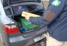 Comboio com 360 quilos de maconha é interceptado no Meio-Oeste catarinense